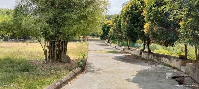 Bungalow House for Sale in Kampung Paya Datok (Alor Gajah) - Mohd Daim Jamil - Exterior - PropertyGuru.com.my