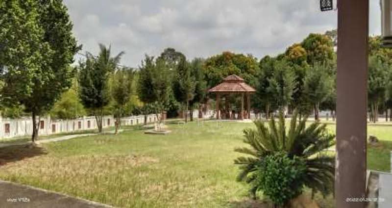 Agricultural Land for Sale in Kampung Paya Datok (Alor Gajah) - Mohd Daim Jamil - Garden - PropertyGuru.com.my