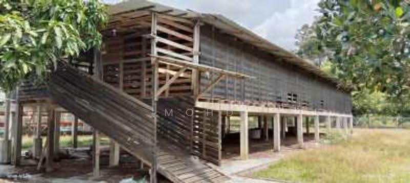 Agricultural Land for Sale in Kampung Paya Datok (Alor Gajah) - Mohd Daim Jamil - Exterior - PropertyGuru.com.my
