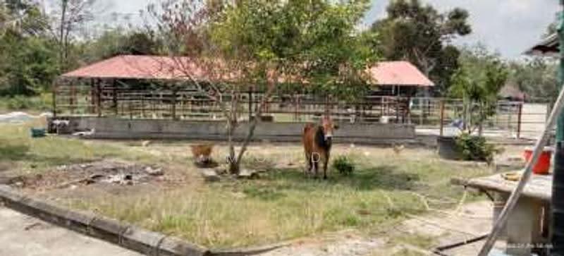 Agricultural Land for Sale in Kampung Paya Datok (Alor Gajah) - Mohd Daim Jamil - Exterior - PropertyGuru.com.my