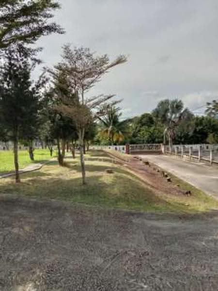 Agricultural Land for Sale in Kampung Paya Datok (Alor Gajah) - Mohd Daim Jamil - Exterior - PropertyGuru.com.my
