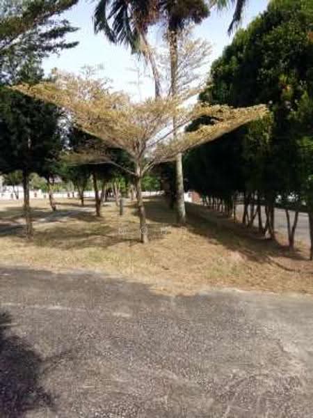 Agricultural Land for Sale in Kampung Paya Datok (Alor Gajah) - Mohd Daim Jamil - Exterior - PropertyGuru.com.my