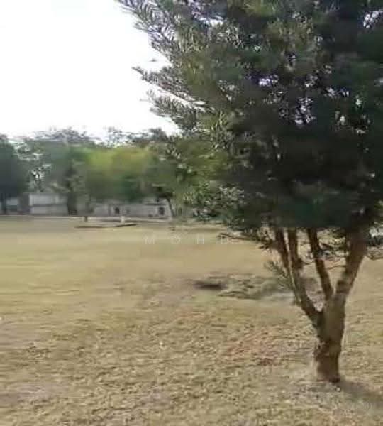 Agricultural Land for Sale in Kampung Paya Datok (Alor Gajah) - Mohd Daim Jamil - Exterior - PropertyGuru.com.my