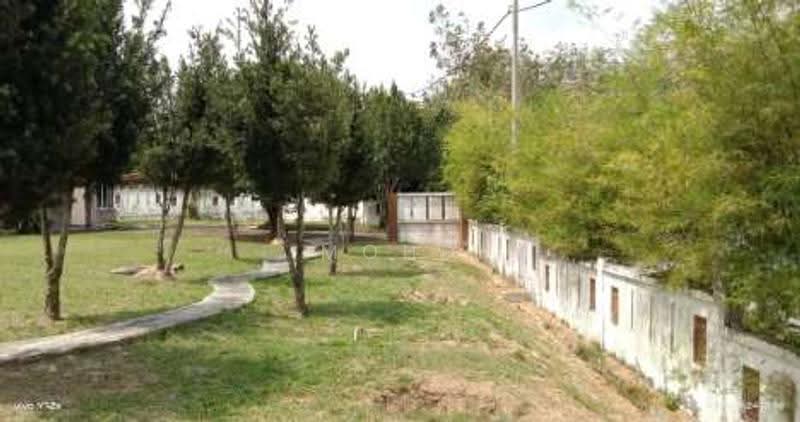 Agricultural Land for Sale in Kampung Paya Datok (Alor Gajah) - Mohd Daim Jamil - Exterior - PropertyGuru.com.my