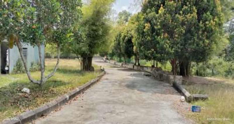 Agricultural Land for Sale in Kampung Paya Datok (Alor Gajah) - Mohd Daim Jamil - Exterior - PropertyGuru.com.my