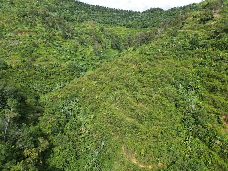 Agricultural Land for Sale in Sungai Siput (Perak) - Derrick Ng - PropertyGuru.com.my