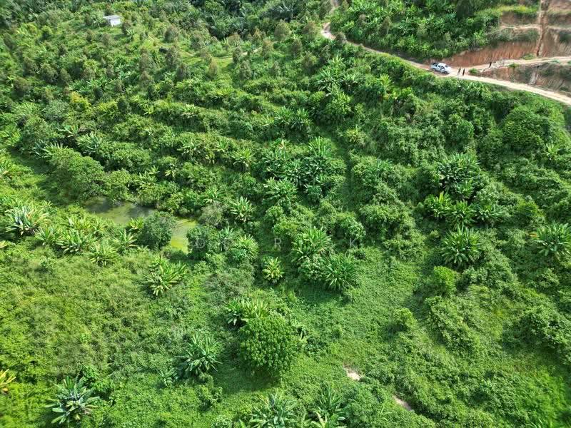 Agricultural Land for Sale in Sungai Siput (Perak) - Derrick Ng - PropertyGuru.com.my