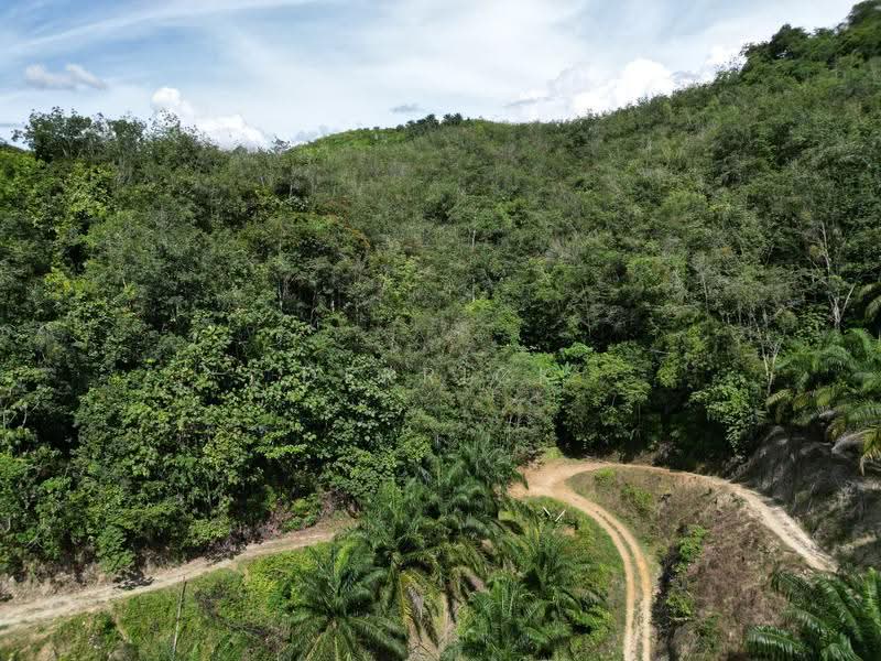 Agricultural Land for Sale in Sungai Siput (Perak) - Derrick Ng - PropertyGuru.com.my