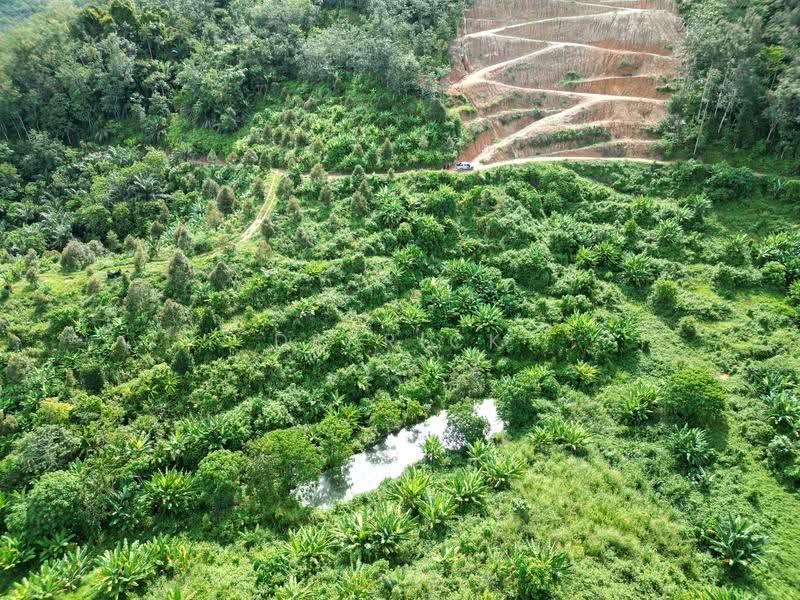 Agricultural Land for Sale in Sungai Siput (Perak) - Derrick Ng - PropertyGuru.com.my