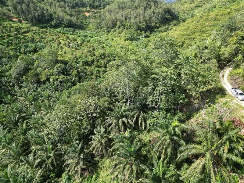 Agricultural Land for Sale in Sungai Siput (Perak) - Derrick Ng - PropertyGuru.com.my