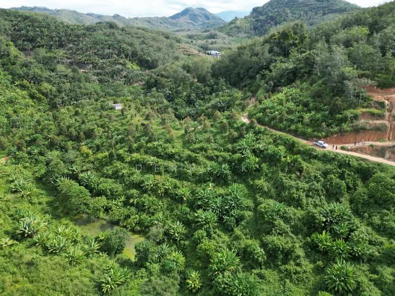 Agricultural Land for Sale in Sungai Siput (Perak) - Derrick Ng - PropertyGuru.com.my