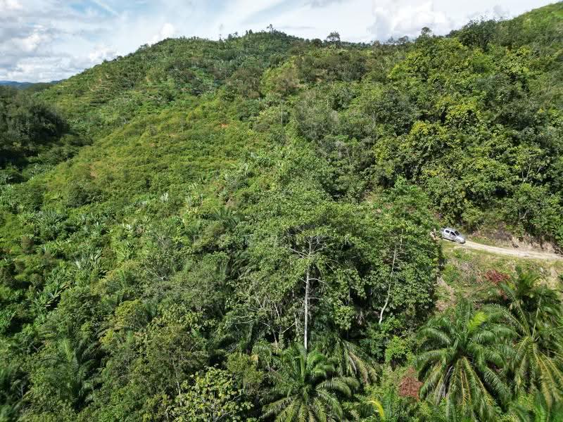 Agricultural Land for Sale in Sungai Siput (Perak) - Derrick Ng - PropertyGuru.com.my