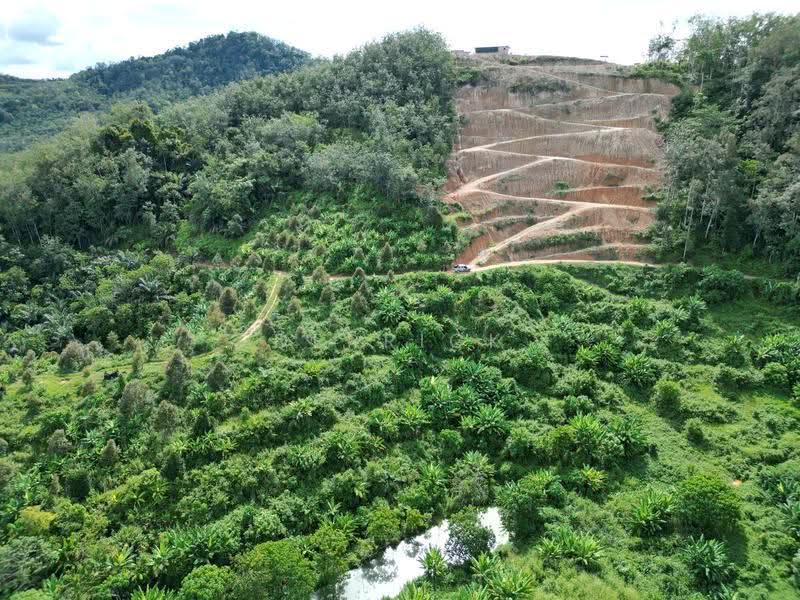Agricultural Land for Sale in Sungai Siput (Perak) - Derrick Ng - PropertyGuru.com.my
