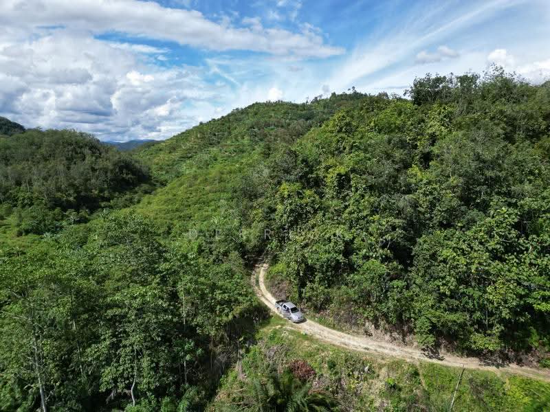 Agricultural Land for Sale in Sungai Siput (Perak) - Derrick Ng - PropertyGuru.com.my