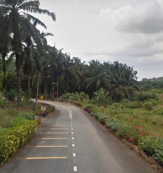 Tanah Pertanian untuk Dijual di Kulai (Johor) - Kelly Wai - Exterior - PropertyGuru.com.my