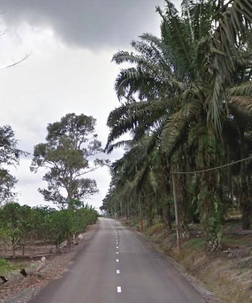 Tanah Pertanian untuk Dijual di Kulai (Johor) - Kelly Wai - Exterior - PropertyGuru.com.my