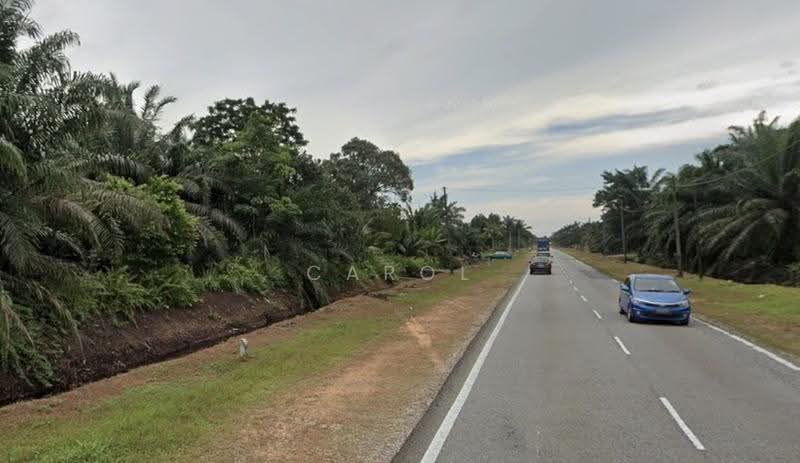 Tanah Pertanian untuk Dijual di Pontian Besar (Pontian) - Carol Tan - PropertyGuru.com.my
