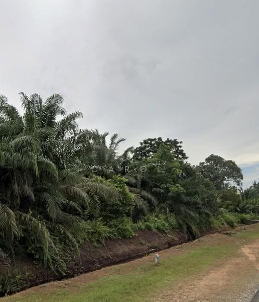 Tanah Pertanian untuk Dijual di Pontian Besar (Pontian) - Carol Tan - Exterior - PropertyGuru.com.my