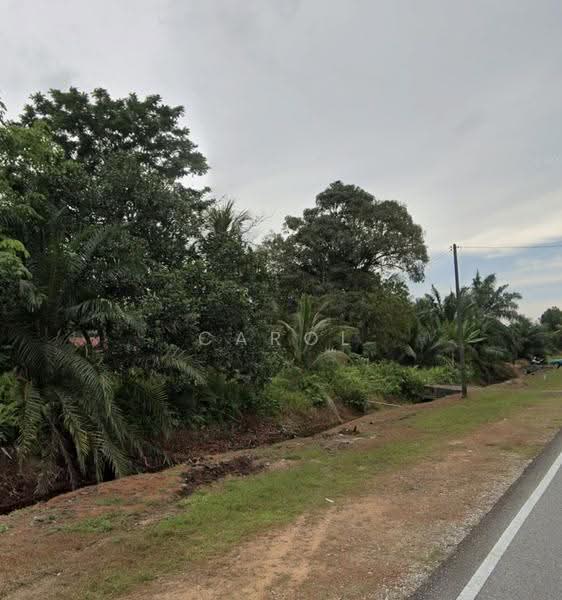Tanah Pertanian untuk Dijual di Pontian Besar (Pontian) - Carol Tan - Exterior - PropertyGuru.com.my