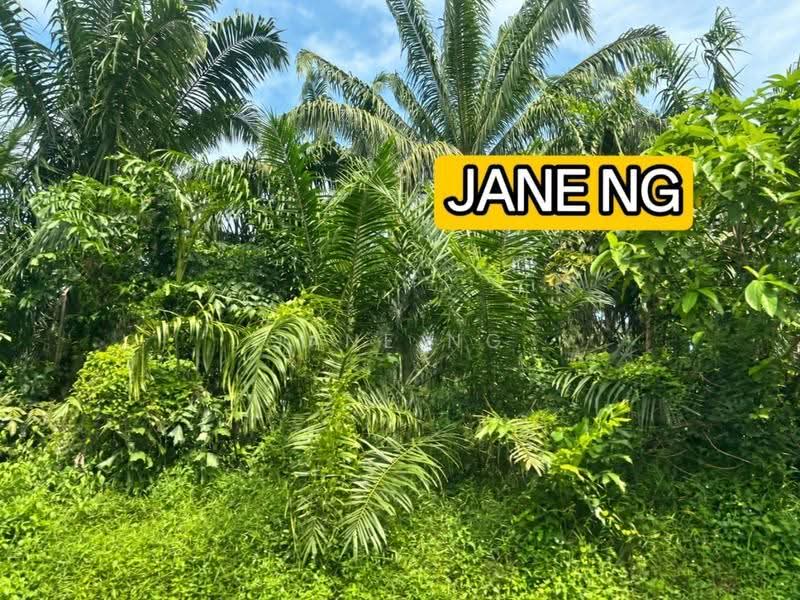 Tanah Perindustrian untuk Dijual di Bukit Minyak (Penang) - Jane Ng - PropertyGuru.com.my
