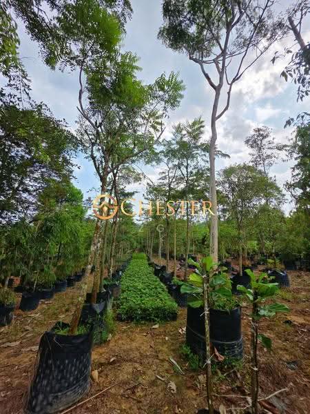 Tanah Perindustrian untuk Dijual di Sri Medan (Batu Pahat) - ZG Law - Garden - PropertyGuru.com.my