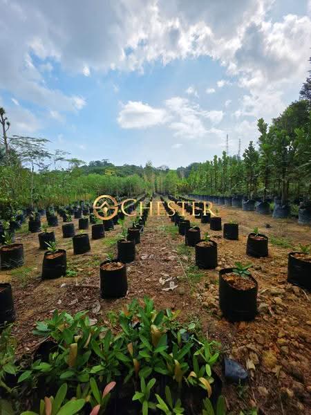 Tanah Perindustrian untuk Dijual di Sri Medan (Batu Pahat) - ZG Law - Exterior - PropertyGuru.com.my