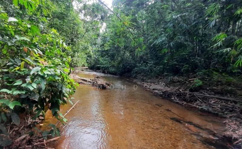 Agricultural Land for Sale in Kampung Kuantan (Batang Kali) - Mohd Daim Jamil - Exterior - PropertyGuru.com.my