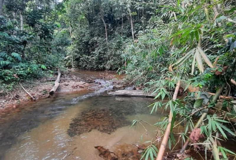 Agricultural Land for Sale in Kampung Kuantan (Batang Kali) - Mohd Daim Jamil - Exterior - PropertyGuru.com.my