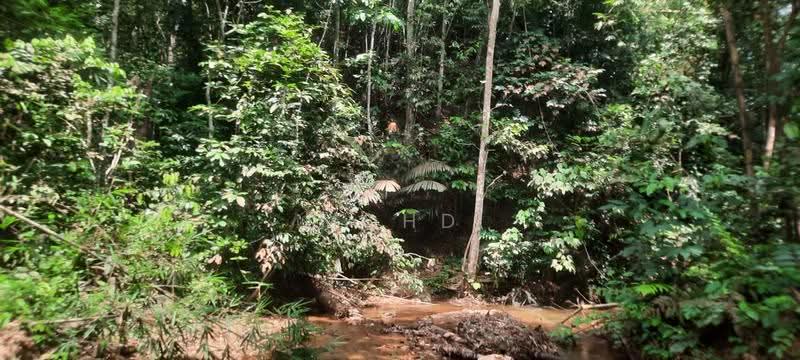 Agricultural Land for Sale in Kampung Kuantan (Batang Kali) - Mohd Daim Jamil - PropertyGuru.com.my