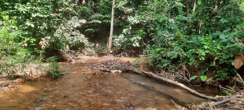 Agricultural Land for Sale in Kampung Kuantan (Batang Kali) - Mohd Daim Jamil - PropertyGuru.com.my