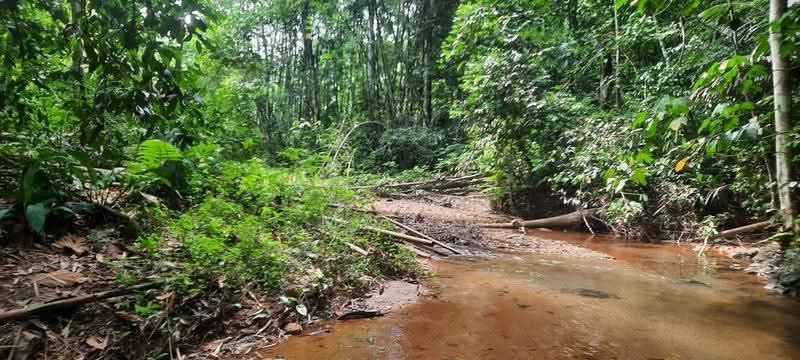Agricultural Land for Sale in Kampung Kuantan (Batang Kali) - Mohd Daim Jamil - Exterior - PropertyGuru.com.my