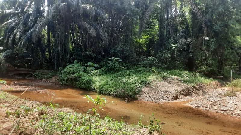 Agricultural Land for Sale in Kampung Kuantan (Batang Kali) - Mohd Daim Jamil - Exterior - PropertyGuru.com.my