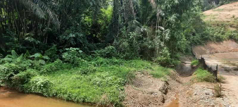 Agricultural Land for Sale in Kampung Kuantan (Batang Kali) - Mohd Daim Jamil - Exterior - PropertyGuru.com.my