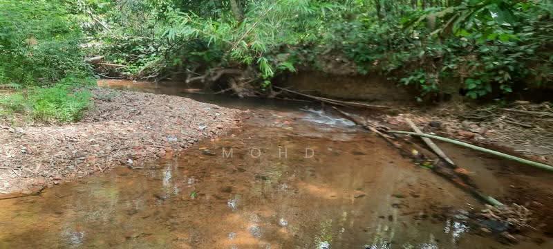 Agricultural Land for Sale in Kampung Kuantan (Batang Kali) - Mohd Daim Jamil - Exterior - PropertyGuru.com.my