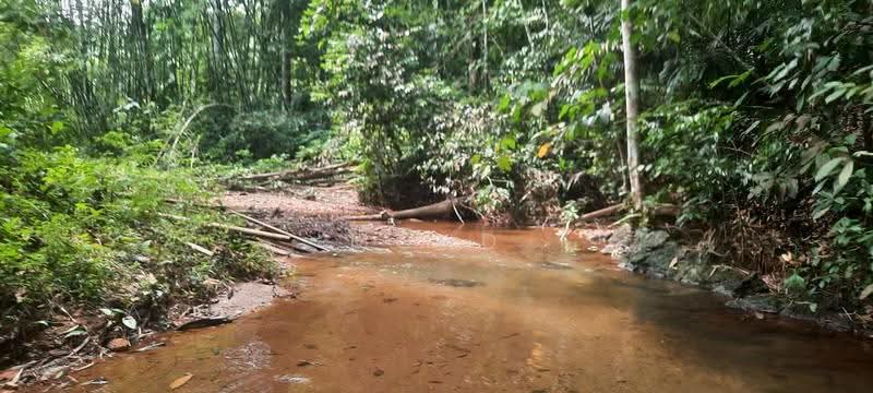 Agricultural Land for Sale in Kampung Kuantan (Batang Kali) - Mohd Daim Jamil - Exterior - PropertyGuru.com.my