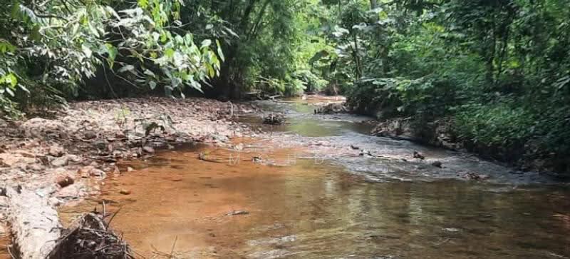 Agricultural Land for Sale in Kampung Kuantan (Batang Kali) - Mohd Daim Jamil - Exterior - PropertyGuru.com.my