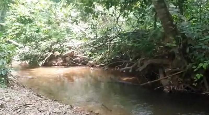 Agricultural Land for Sale in Kampung Kuantan (Batang Kali) - Mohd Daim Jamil - Exterior - PropertyGuru.com.my