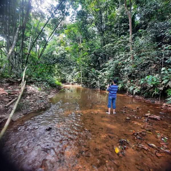 Agricultural Land for Sale in Kampung Kuantan (Batang Kali) - Mohd Daim Jamil - PropertyGuru.com.my