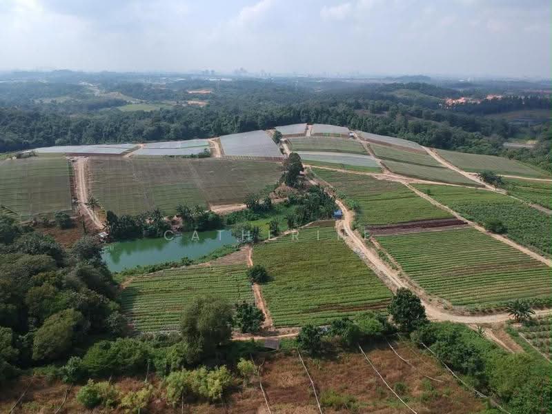 Rumah Berkembar untuk Dijual di Skudai (Johor) - Catherine Ong - Garden - PropertyGuru.com.my