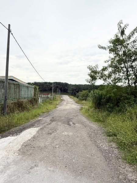 Agricultural Land for Rent in Taman Saleng (Kulai) - Shi Ting - Exterior - PropertyGuru.com.my