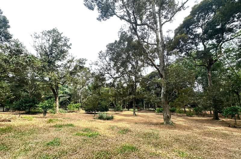 Agricultural Land for Sale in Paya Dalam (Bukit Lintang) - Phang Seow Ling - PropertyGuru.com.my