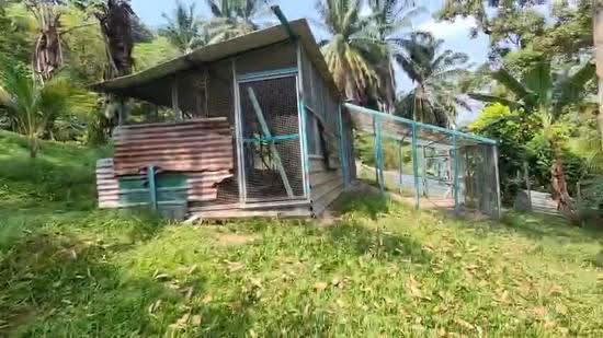 Agricultural Land for Sale in Lenggeng (Negeri Sembilan) - Ahmad Gadafi Md Nor - PropertyGuru.com.my
