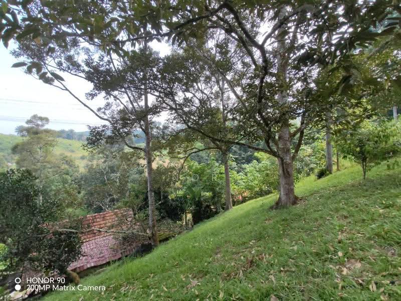 Agricultural Land for Sale in Lenggeng (Negeri Sembilan) - Ahmad Gadafi Md Nor - Exterior - PropertyGuru.com.my
