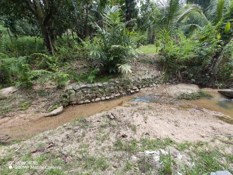 Agricultural Land for Sale in Lenggeng (Negeri Sembilan) - Ahmad Gadafi Md Nor - Garden - PropertyGuru.com.my