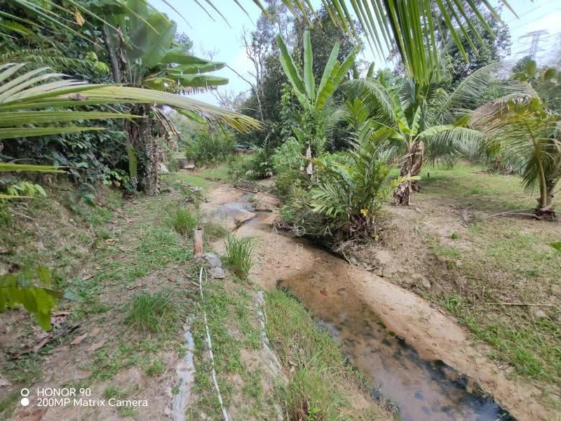 Agricultural Land for Sale in Lenggeng (Negeri Sembilan) - Ahmad Gadafi Md Nor - Exterior - PropertyGuru.com.my