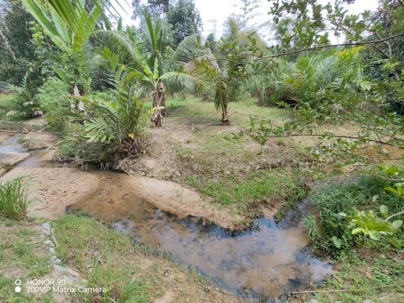 Agricultural Land for Sale in Lenggeng (Negeri Sembilan) - Ahmad Gadafi Md Nor - Garden - PropertyGuru.com.my