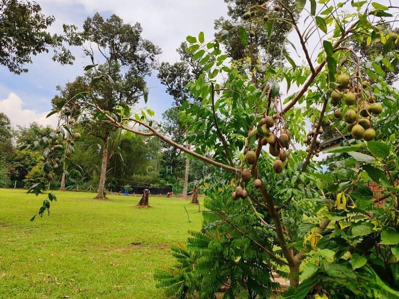 Agricultural Land for Sale in Bidor (Perak) - Cherie Chong - PropertyGuru.com.my