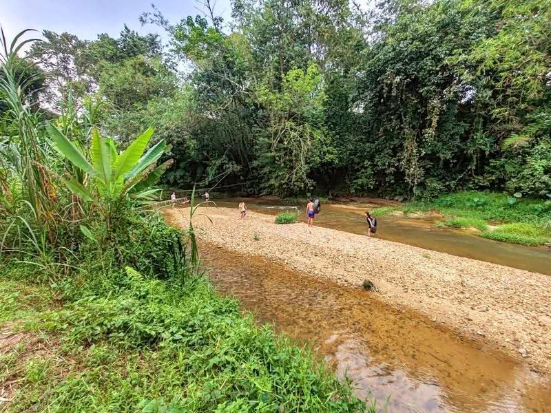 Agricultural Land for Sale in Bidor (Perak) - Cherie Chong - PropertyGuru.com.my
