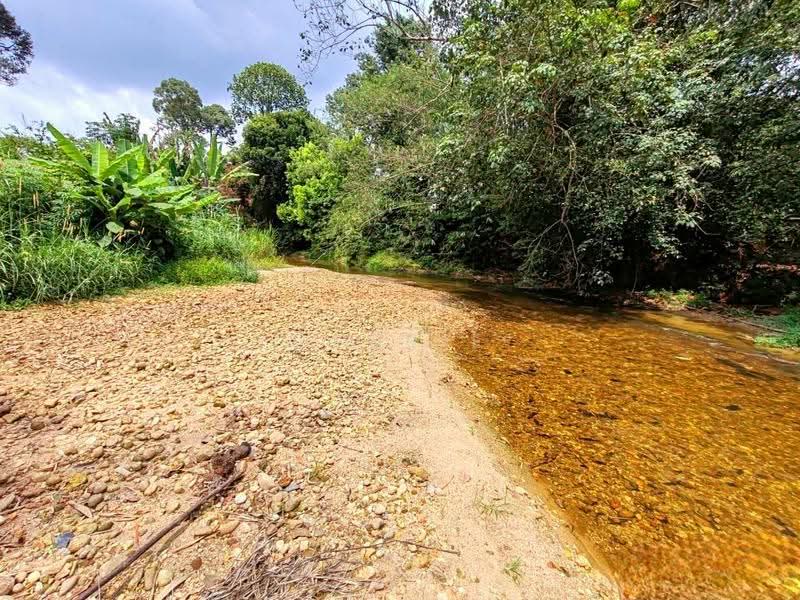 Agricultural Land for Sale in Bidor (Perak) - Cherie Chong - PropertyGuru.com.my