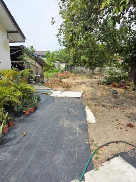 Bungalow House for Rent in Taman Teluk Pulai (Klang) - Matthew Lim - Garden - PropertyGuru.com.my